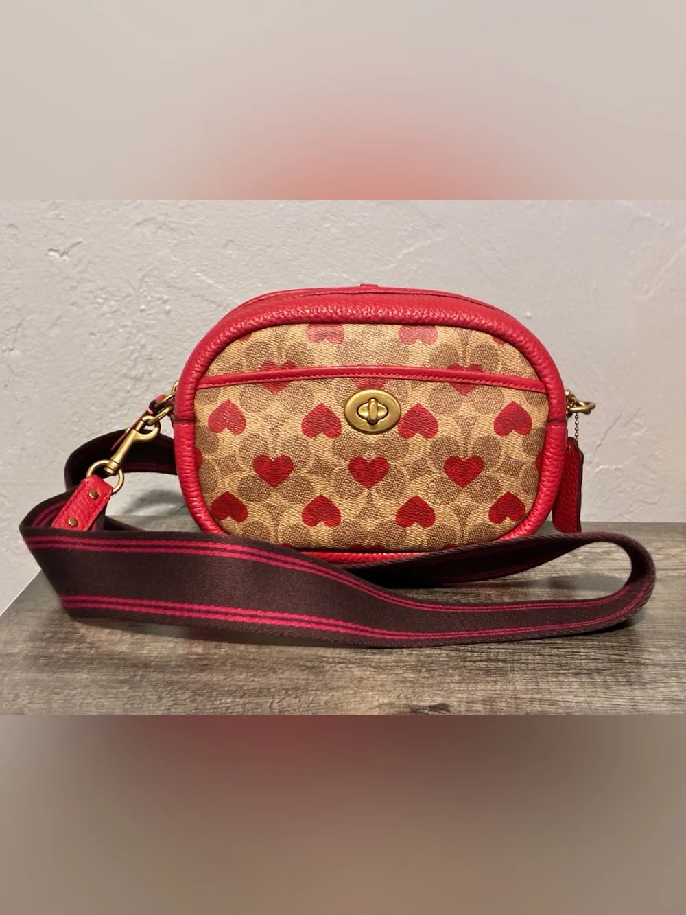 Coach Camera Signature Red Heart Print Crossbody Bag